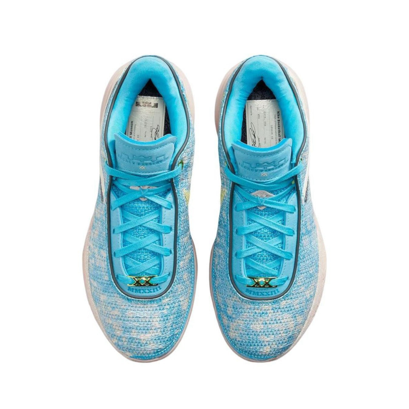 LeBron XX 20 'All-Star'